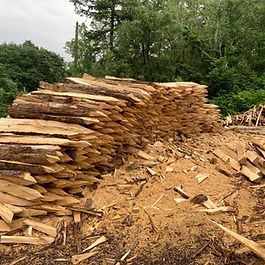 Cleft fence with Chestnut posts protection from deer.  Rustic fence. 