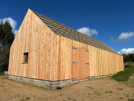 Sustainable Larch cladding.jpeg