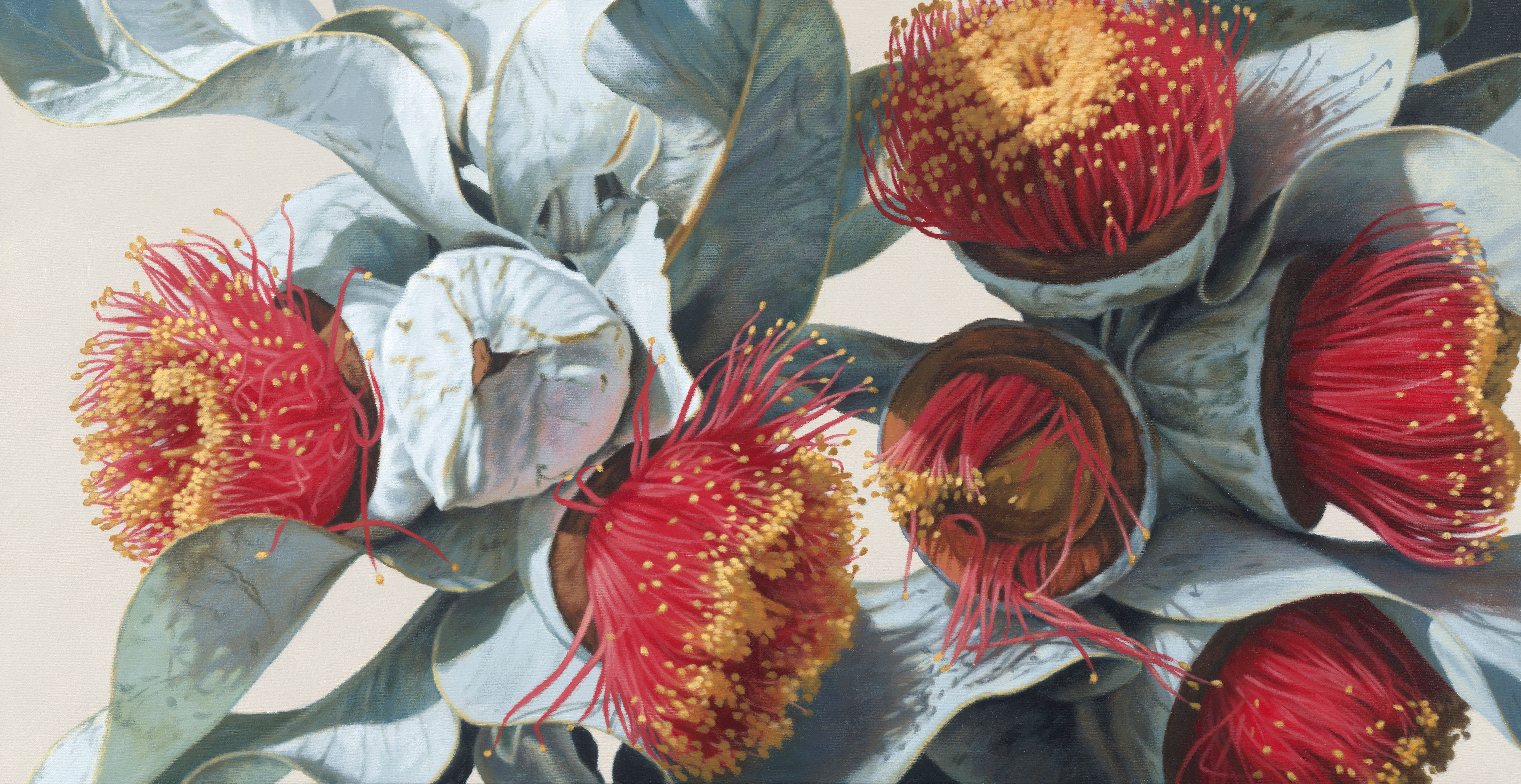 Macrocarpa Gums 0115 giclee print editions 15(canvas) 20(paper)