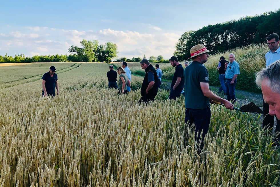 A simplified platform for biodiversity-friendly farming