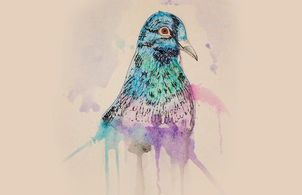 A ROAD TRIP FROM THE VIEW OF A PIGEON