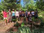 HOW DOES YOUR GARDEN GROW?