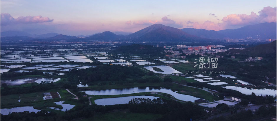 wetland landscape of Yuen Long