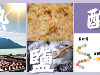 【蝦膏蝦醬系列之一】那一彎銀亮與紫灰