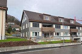 20241204_142424_edited.jpg