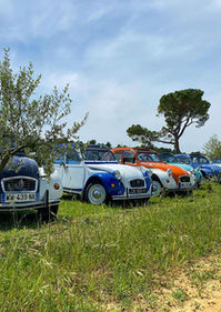 Séjours Provence.jpg