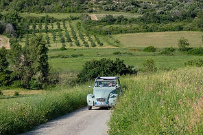 2cv Giono