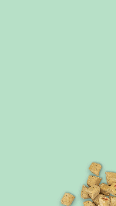 PPF_End_Card_9_16_raw.gif