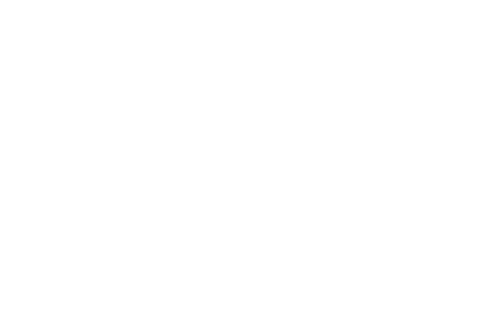 VoloProject_Logo_All_Options_VoloProject_LOGO_white_transparent.png