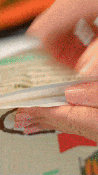PPF_Q1_24_FeedingInstincts_15s_9x16_FINAL_small.gif