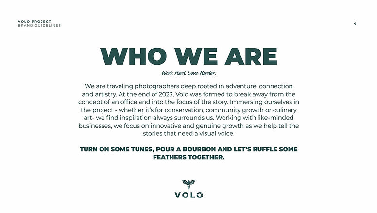 VoloProject_BrandGuidelines4.jpg
