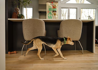 SRW_24-001_PrimalPetFood_FI_0242.jpg