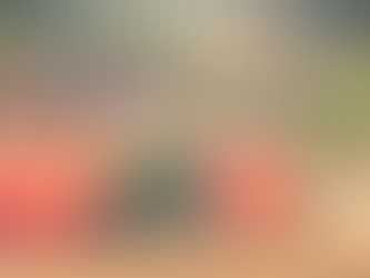 Cara's Birthday Challenge!