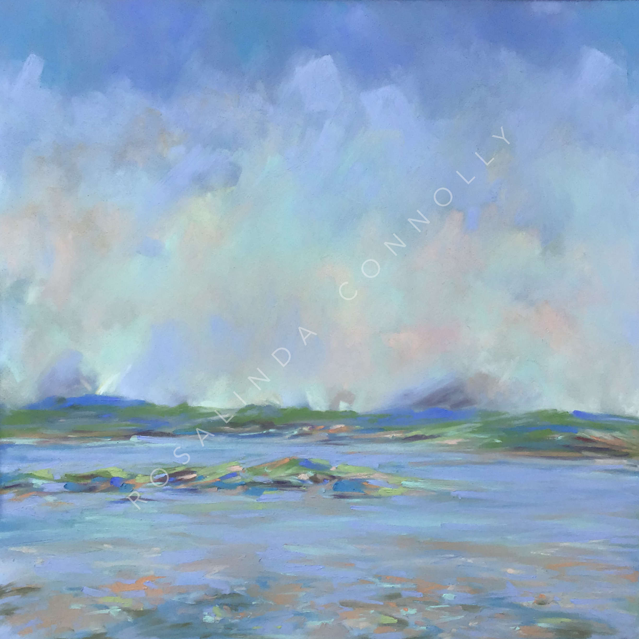 Strangford Lough Drumlins Print | Rosalinda Connolly