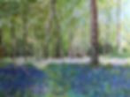 Tollymore Forest Park Bluebell Wood Irish Print | Rosalinda Connolly