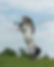 92871919_10218990252279895_7145241437691445248_n.jpg