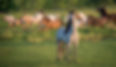 72434105_10217298686791815_1921246610755420160_n_edited.jpg