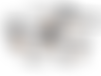 X55 V2: The Next Evolution in Industrial Drone Technology.