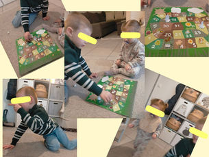 La course des animaux