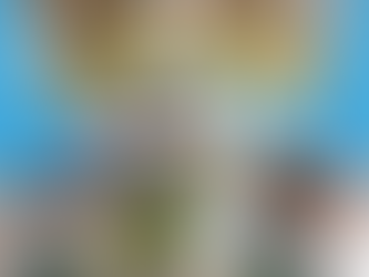 Gratte gratte gratte...