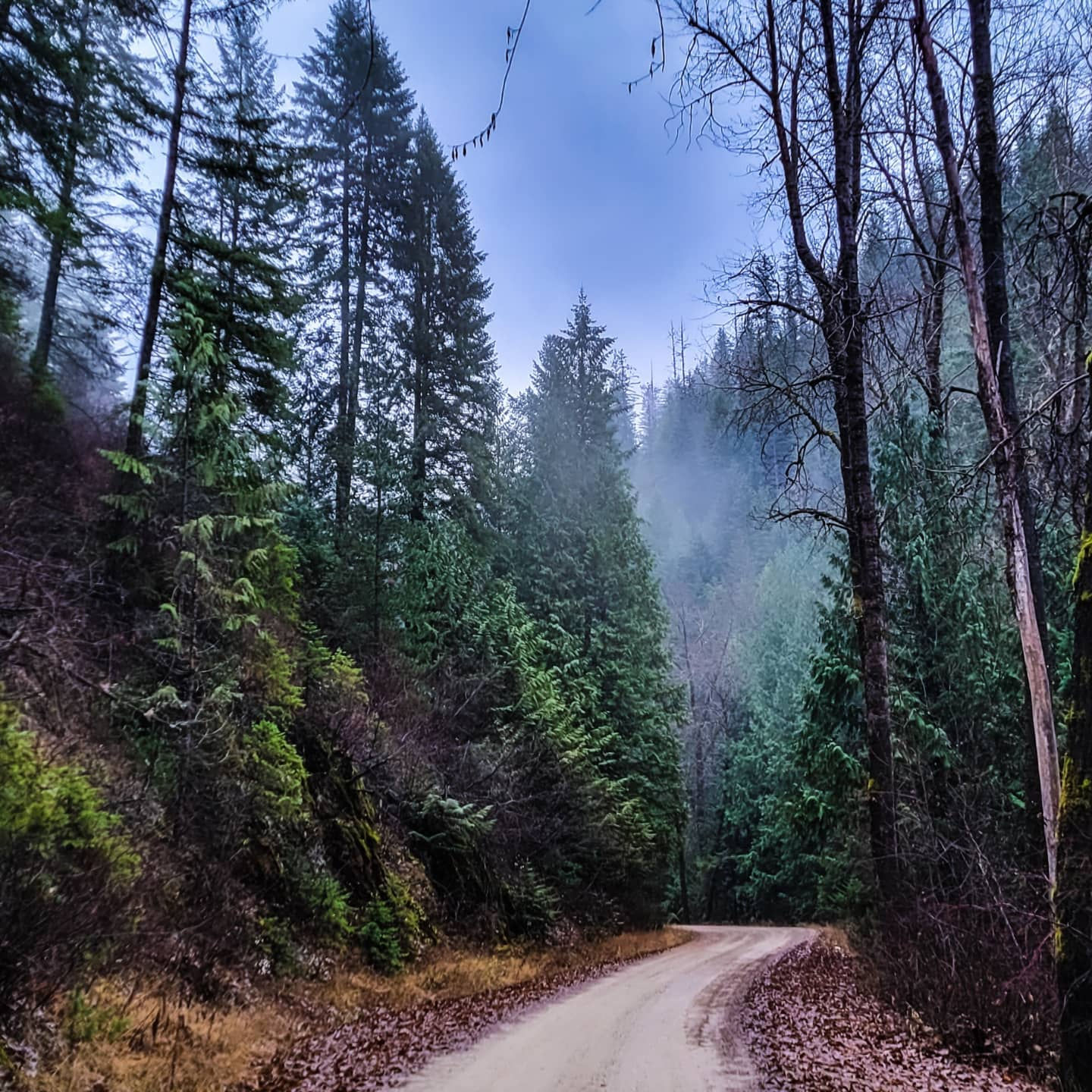 "Road less traveled"