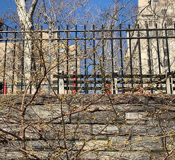 IMG_0272.jpeg