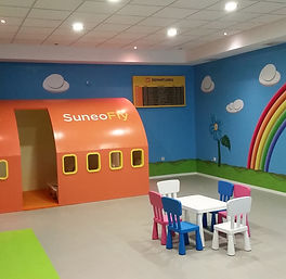 Rainbow Graphic and Plane.jpg