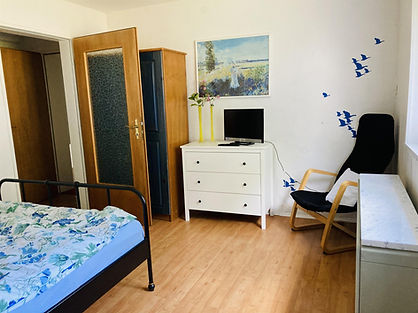 appartement_ost_wohnraum3.jpeg