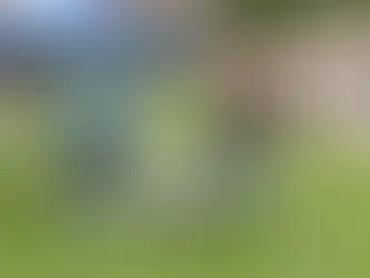 Should You Invest in Drone Services in Singapore?