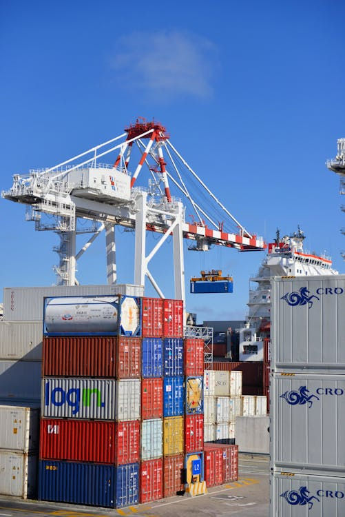 export license singapore