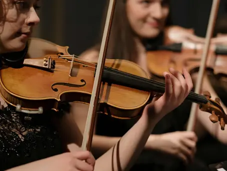 Adult Violin Group Lessons