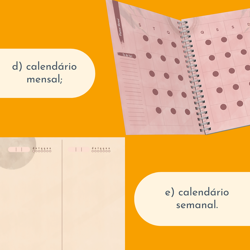 Miniatura: Feminices Planner LUA