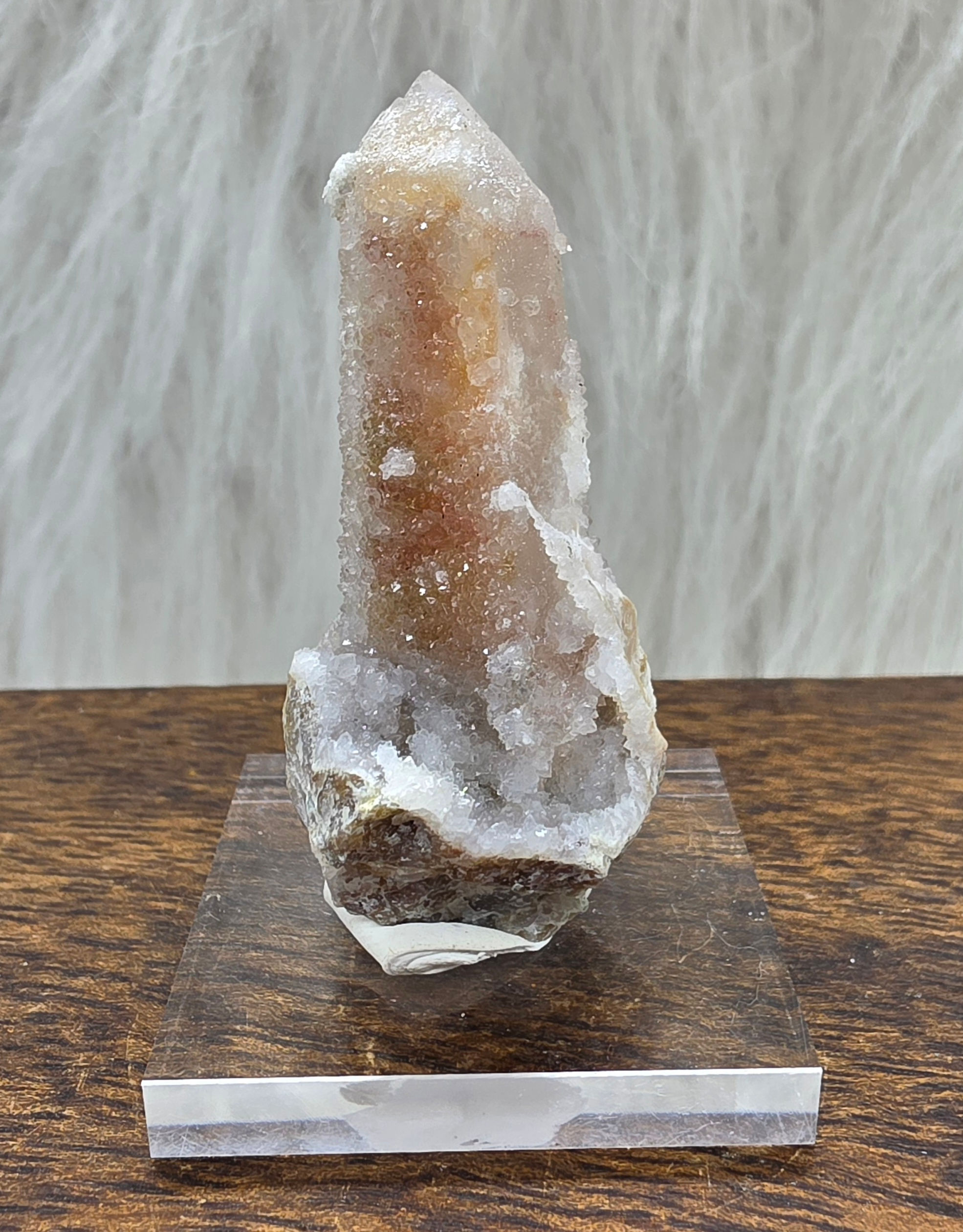 Witches Finger