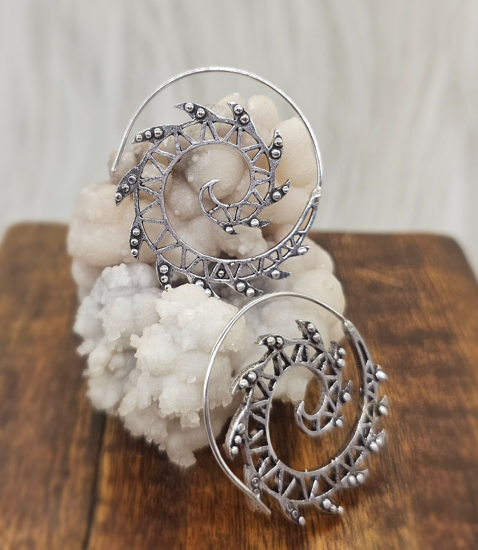 Spiral Silver Earrings