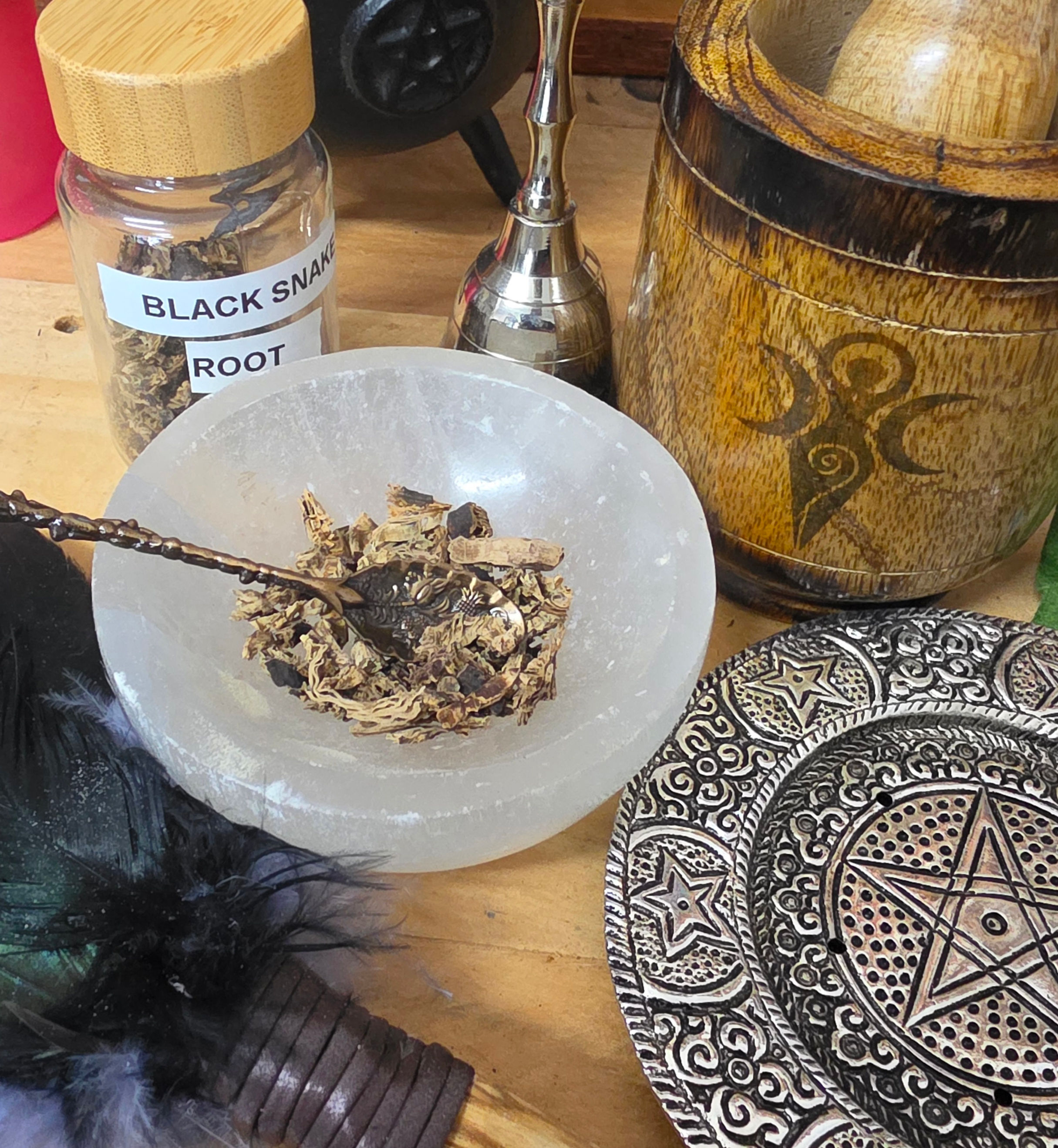 Black Snake Root (Black Cohosh)