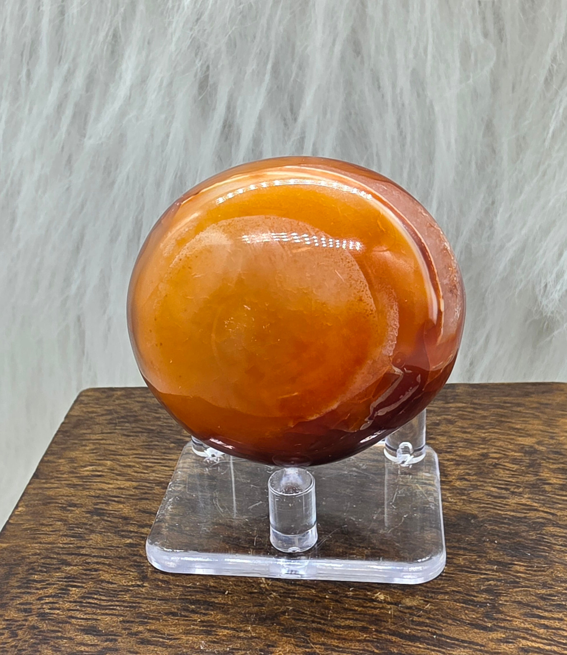 Carnelian Palm
