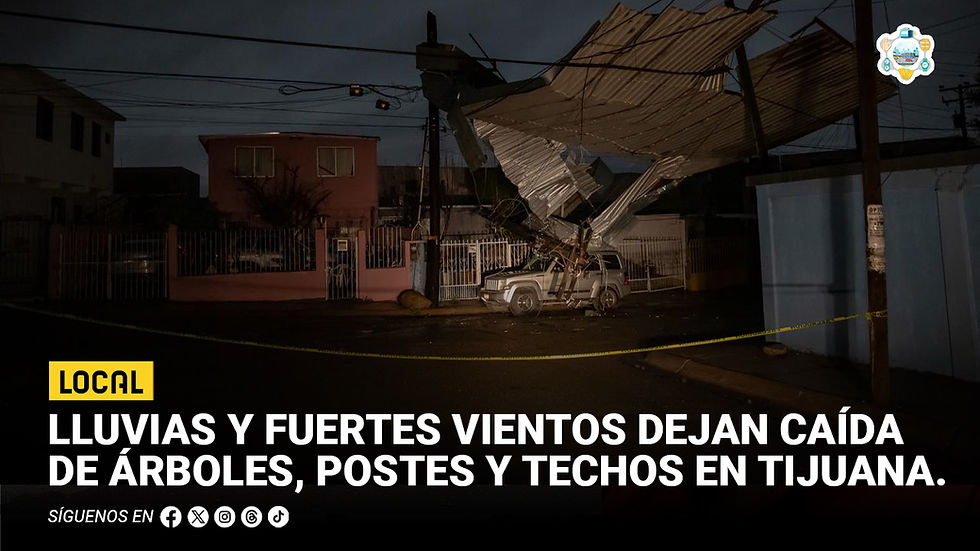 Lluvias y fuertes vientos dejan caída de árboles, postes y techos en Tijuana; cortes de luz afectan a varias colonias