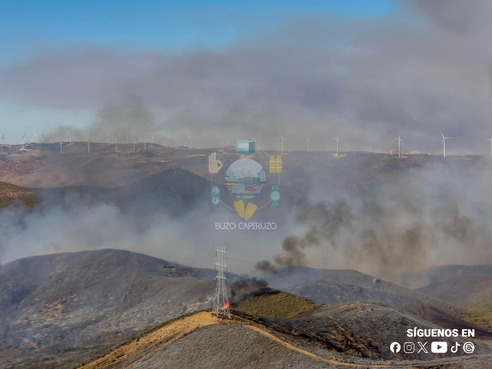 Fotografía: Omar Martínez | #BorderZoom