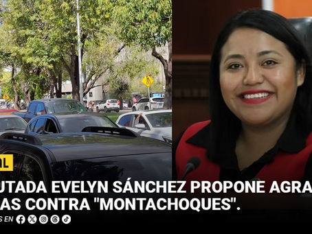 Diputada Evelyn Sánchez propone agravar penas contra "montachoques"
