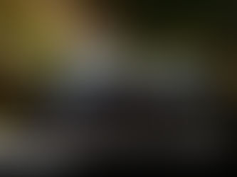 Se incendia vehículo en la avenida Internacional