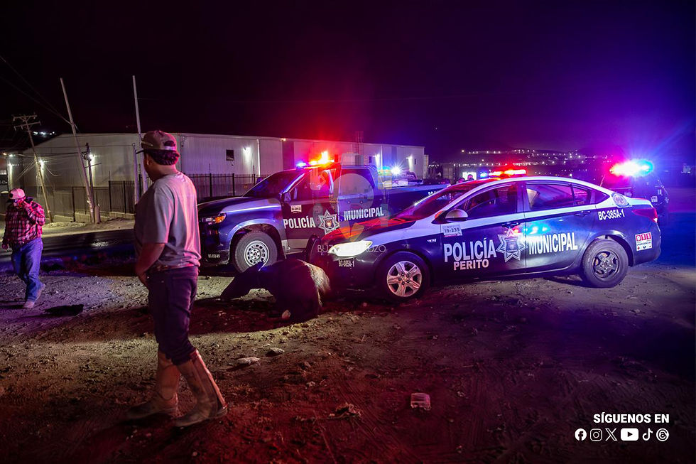 Fotografía: Arturo Rosales | #BorderZoom