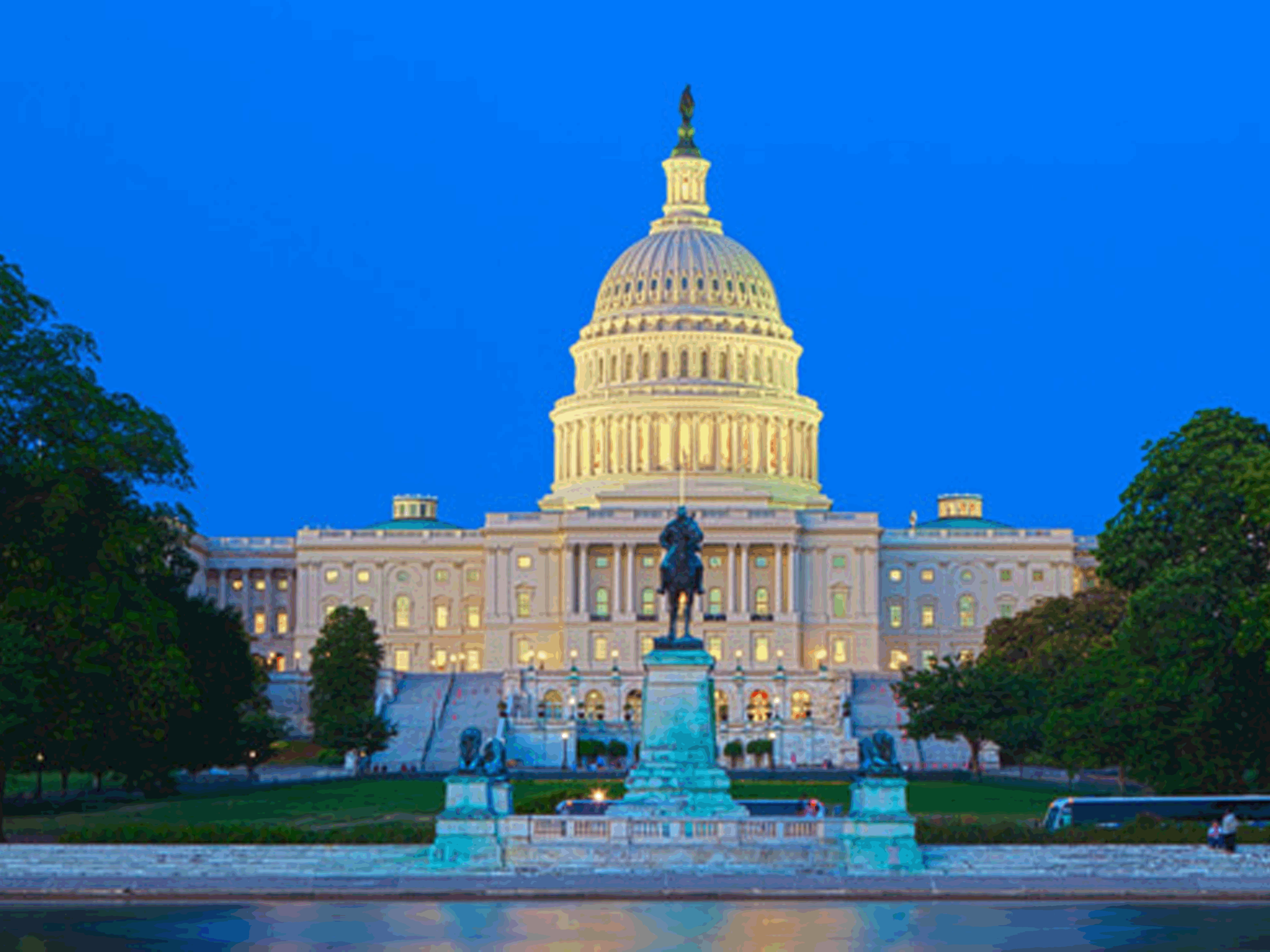 Mini Washington