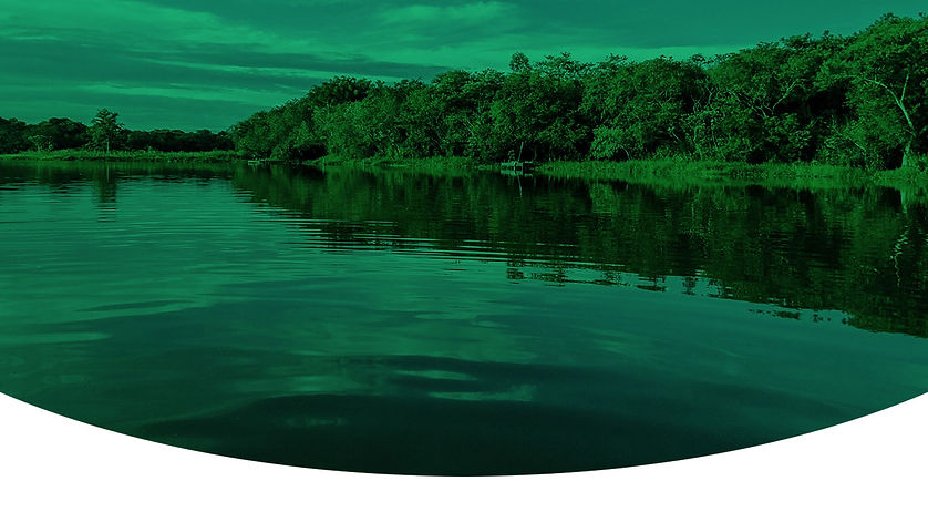 fundo.jpg