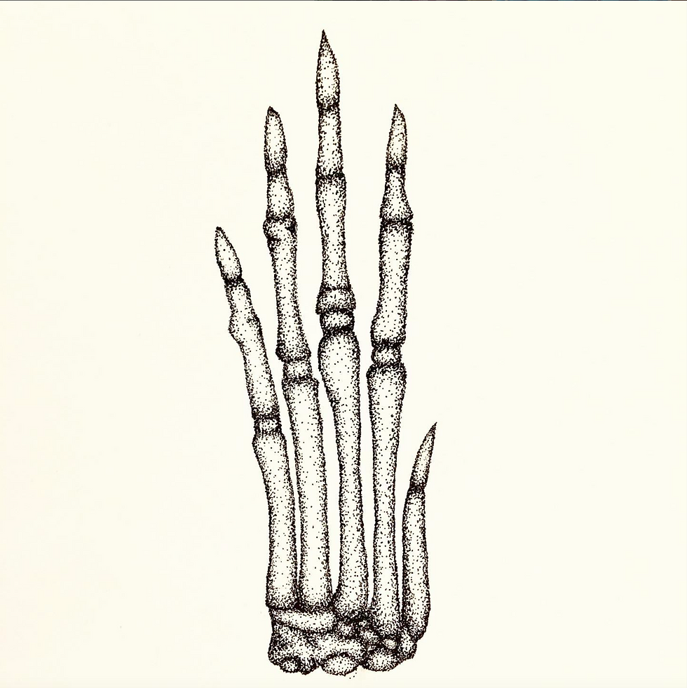 Not so lucky: the rabbit's foot.
