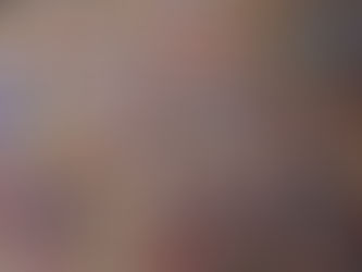 Brickey & Niewodowski: “Chaos and Order”