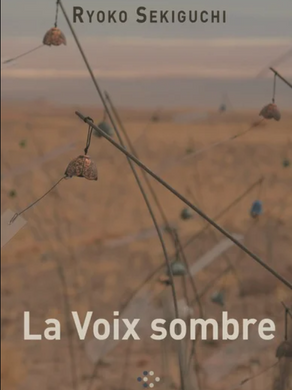 J'ai lu : "La voix sombre"