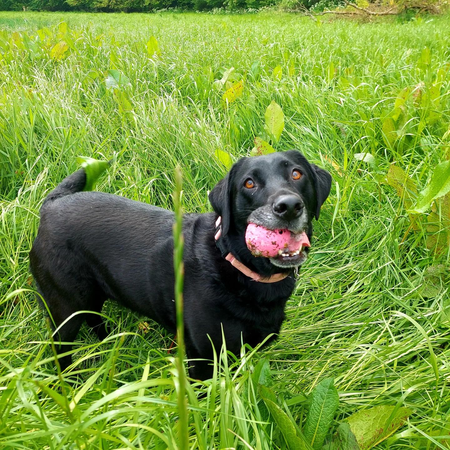 Log In Tails&Trails Log In Tails&Trails