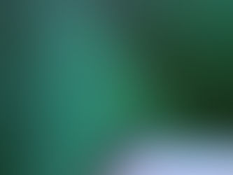 Avocado green ー革とお手入れー