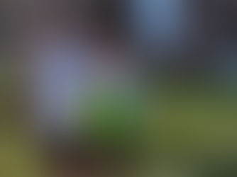 Football League favourite to retire after 'perfect' end to 19-year career