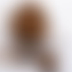 5 BENEFITS OF CHAGA?